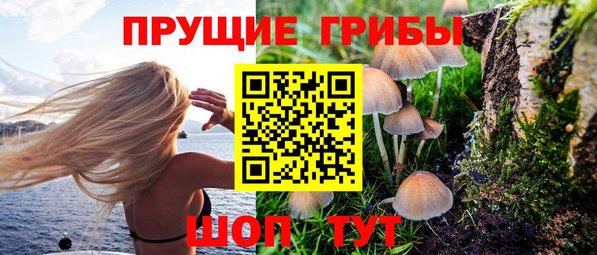 Галлюциногенные грибы MAGIC MUSHROOMS Ноябрьск