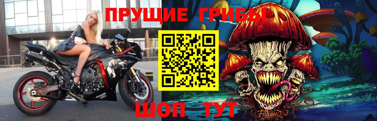 Ноябрьск  Псилоцибиновые грибы GOLDEN TEACHER  Вход с VPN 