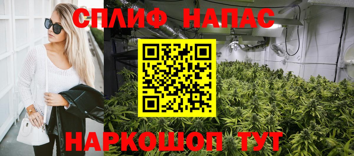 Бошки марихуана конопля Ноябрьск